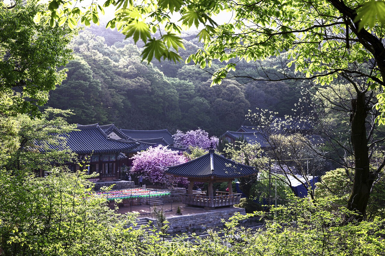   개심사 전경/사진-서산시