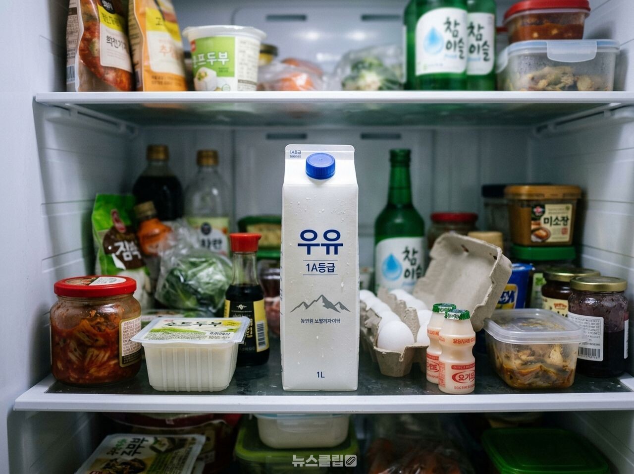 유통기한과 소비기한 차이 / 사진=뉴스클립