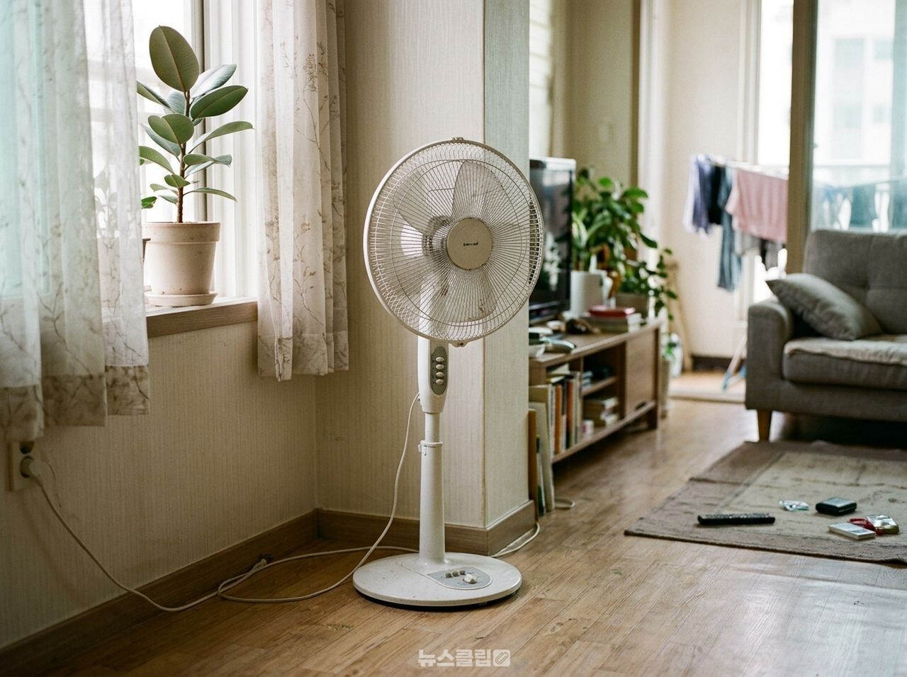 선풍기 먼지 청소 / 사진=뉴스클립