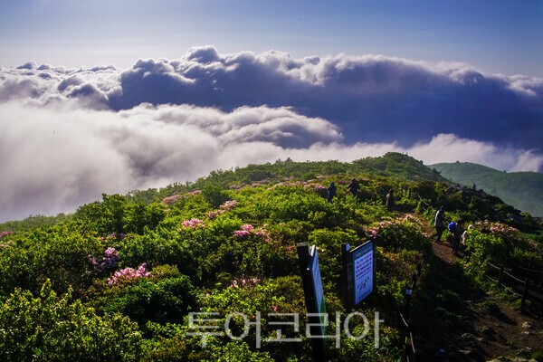 사진 / 덕유산 중봉에서 사진작가들이 촬영하는 모습_투어코리아 유지훈 기자
