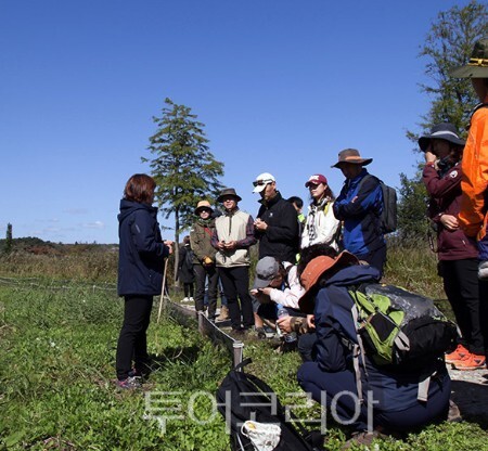순포습지 탐방 /사진=강원도