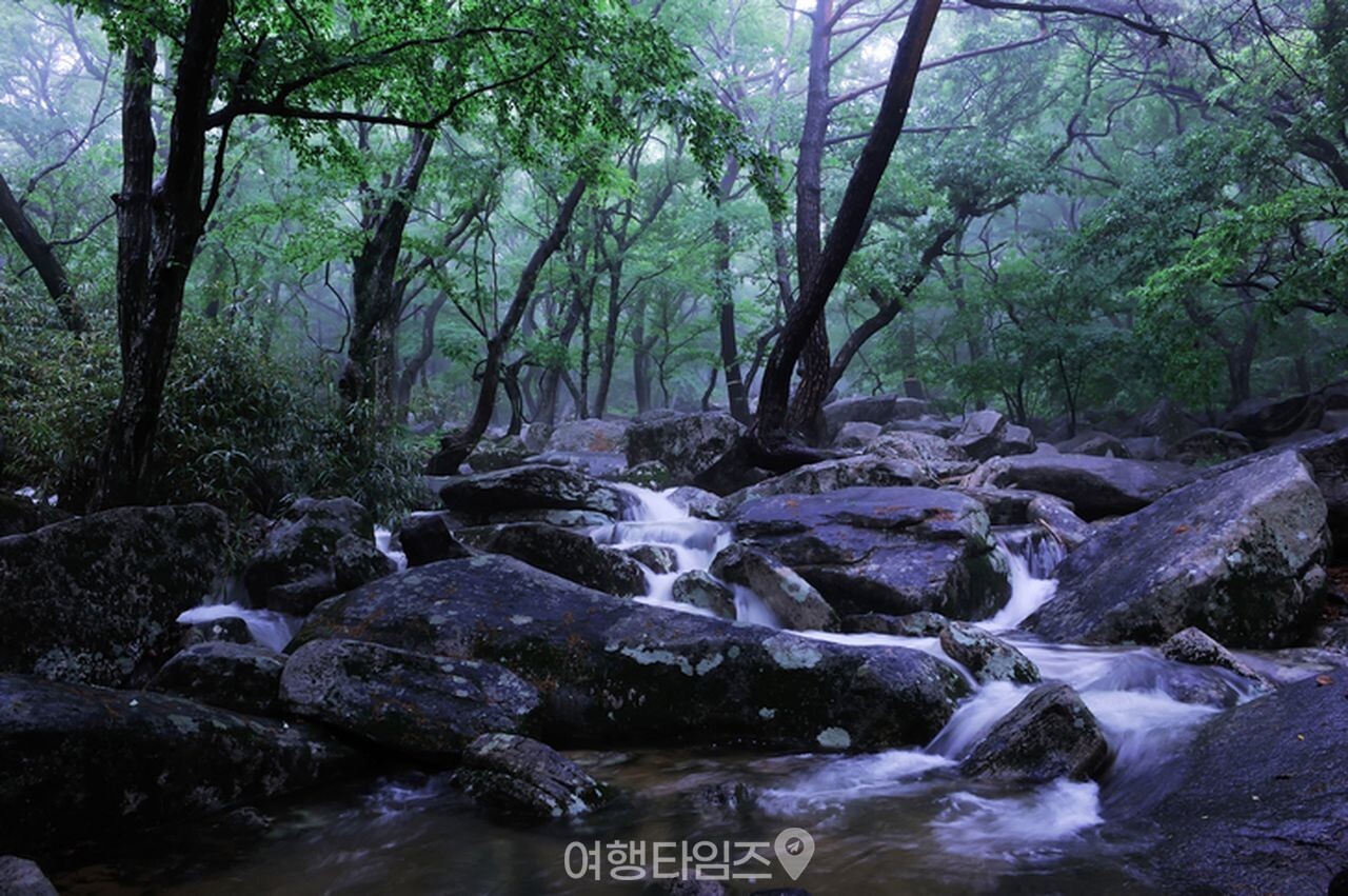 가리왕산 계곡 / 사진=게티이미지뱅크