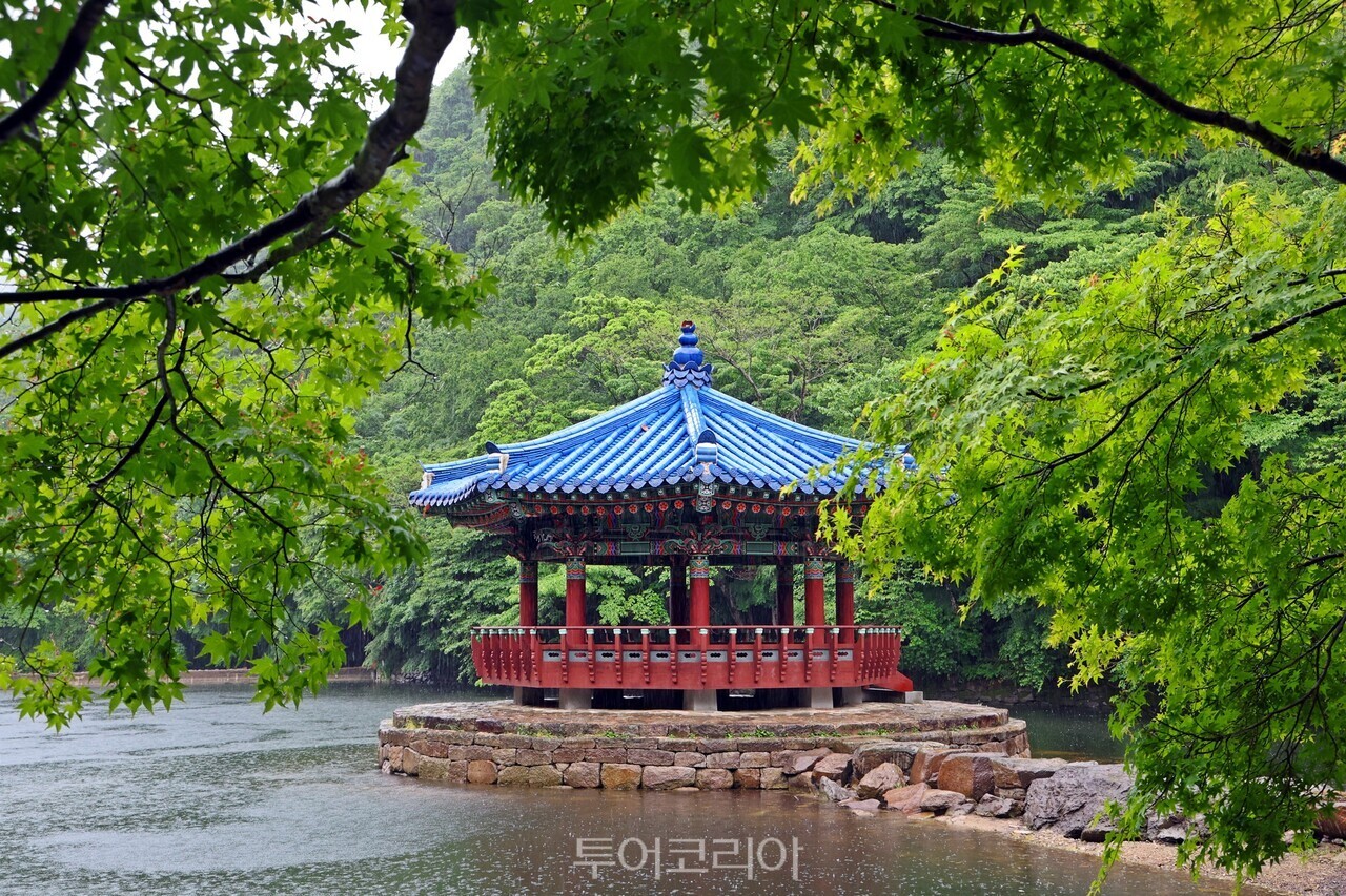 신록 물결 가득 내장산/ 사진-정읍시