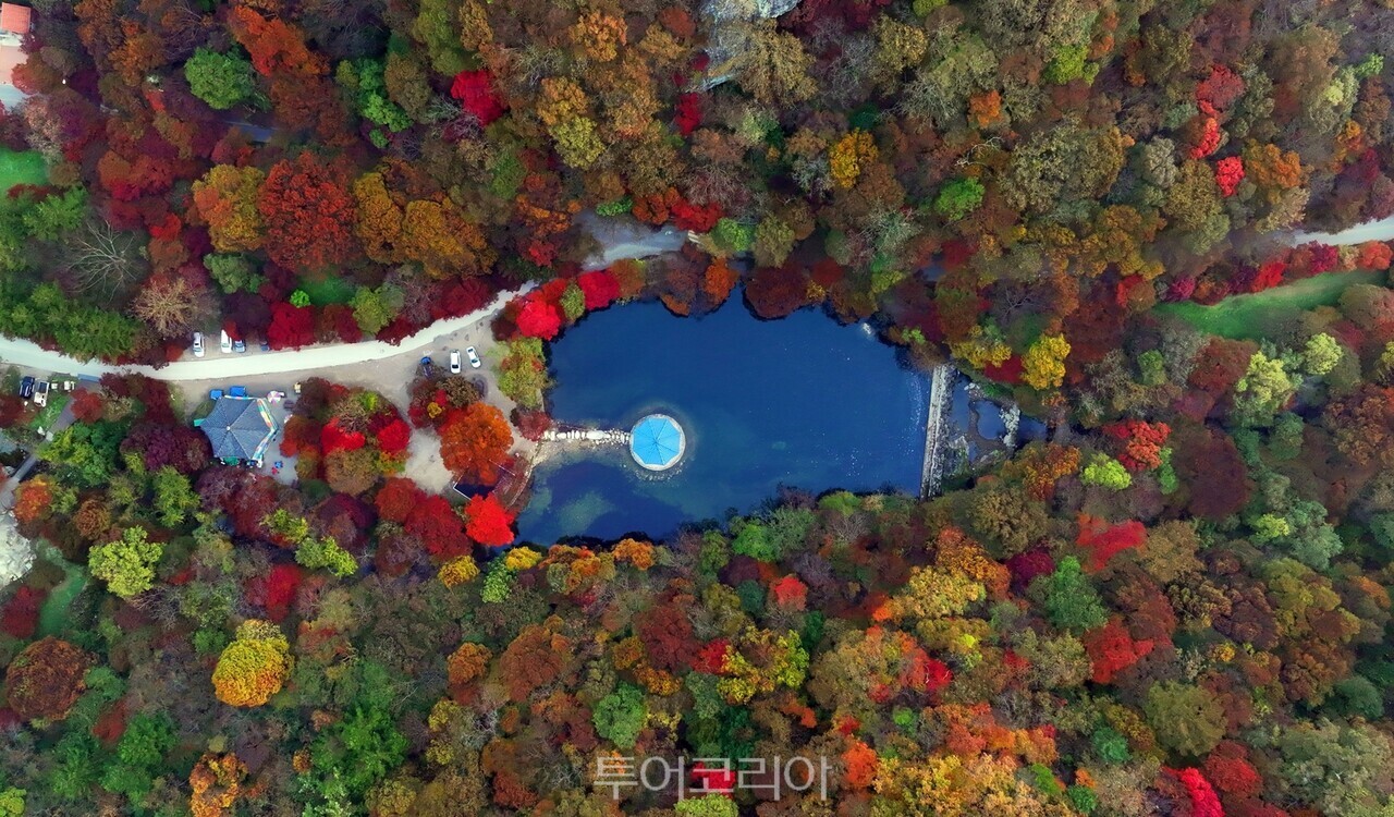 내장산 단풍/사진-정읍시
