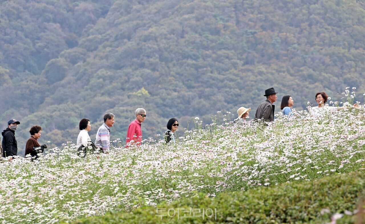 사진-정읍시