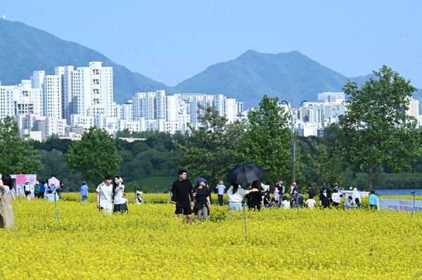  관람객들이 지난 5월 8일 구리한강시민공원에서 열린 '2026 구리 유채꽃 축제'에서 만개한 유채꽃밭을 거닐고 있다. / 사진제공 = 구리시