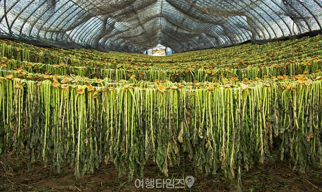 DMZ 펀치볼 / 사진=게티이미지뱅크