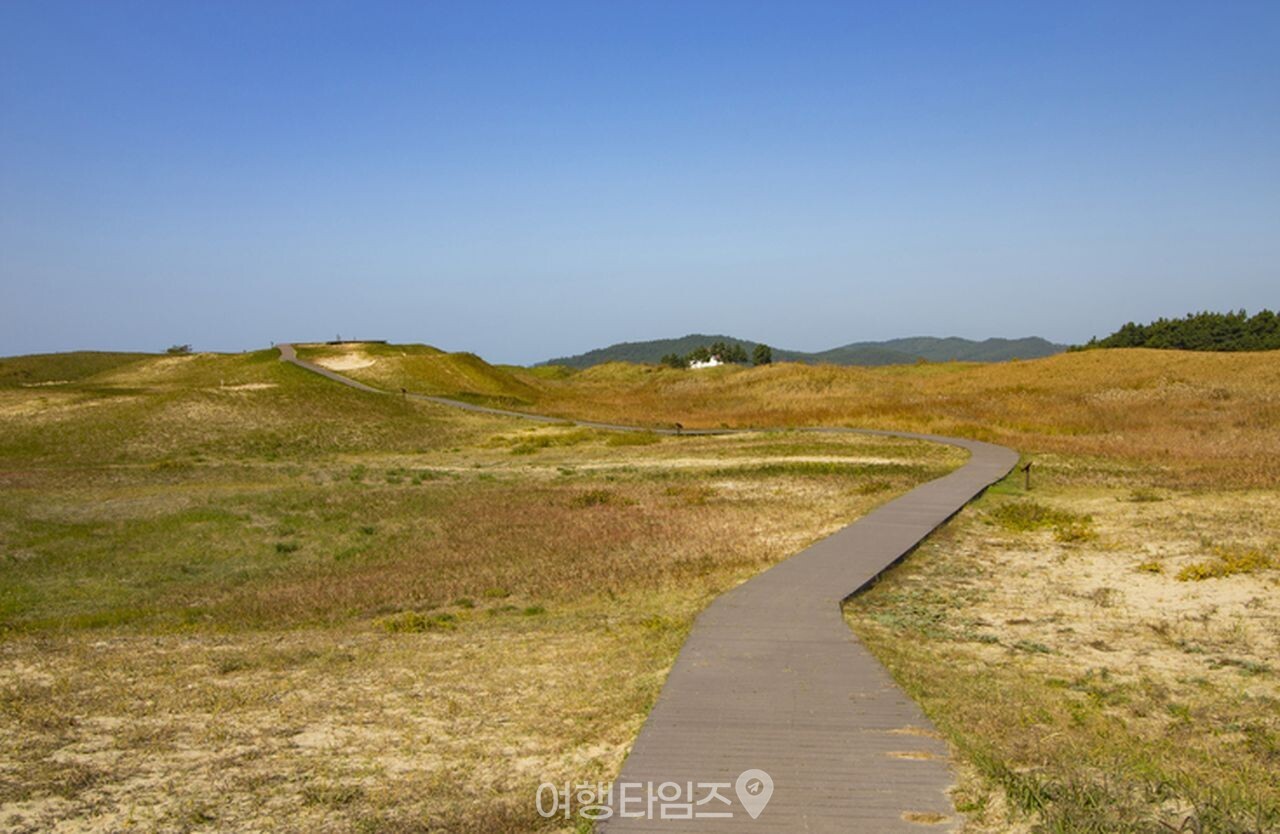 DMZ 펀치볼 / 사진=게티이미지뱅크