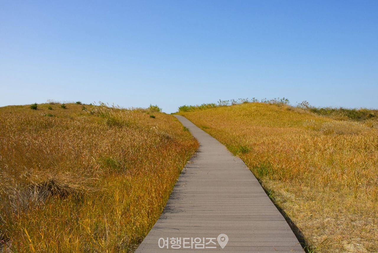 DMZ 펀치볼 / 사진=게티이미지뱅크