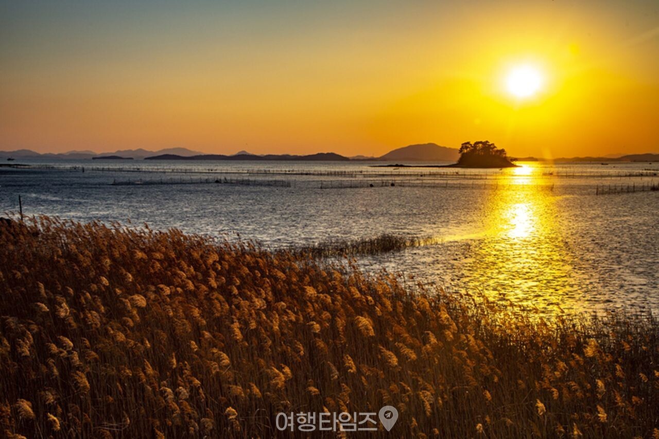 순천만습지 / 사진=게티이미지뱅크