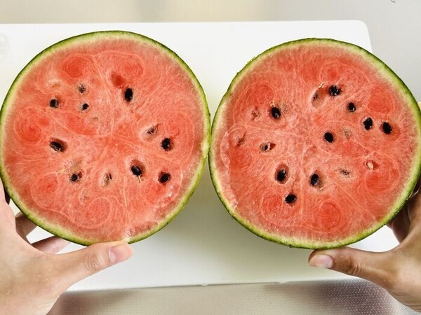 kurashinista