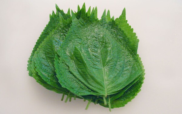 moranbong