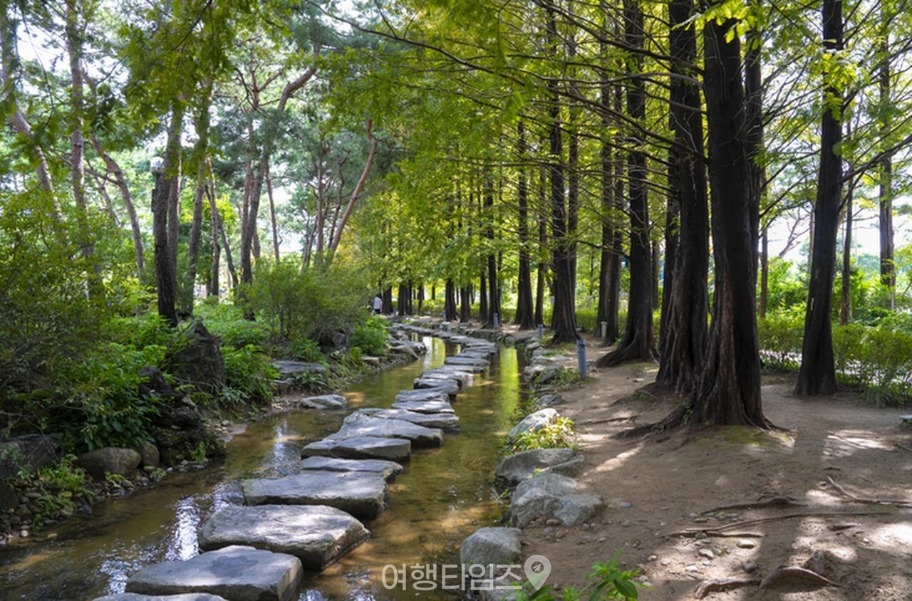 양평 세미원 / 사진=게티이미지뱅크