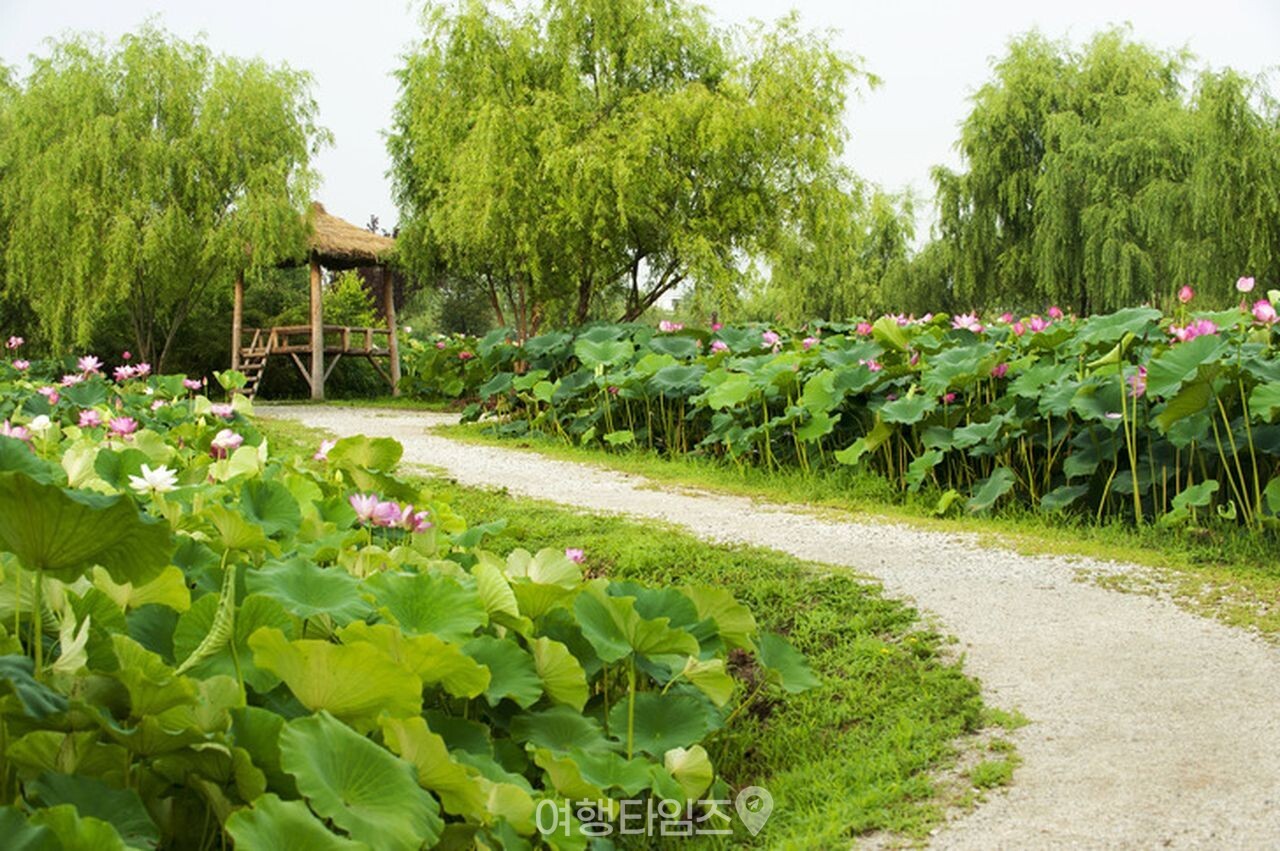 부여 궁남지 / 사진=게티이미지뱅크