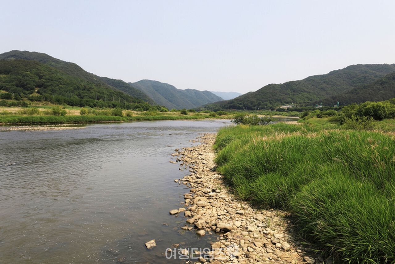 침실습지 / 사진=게티이미지뱅크