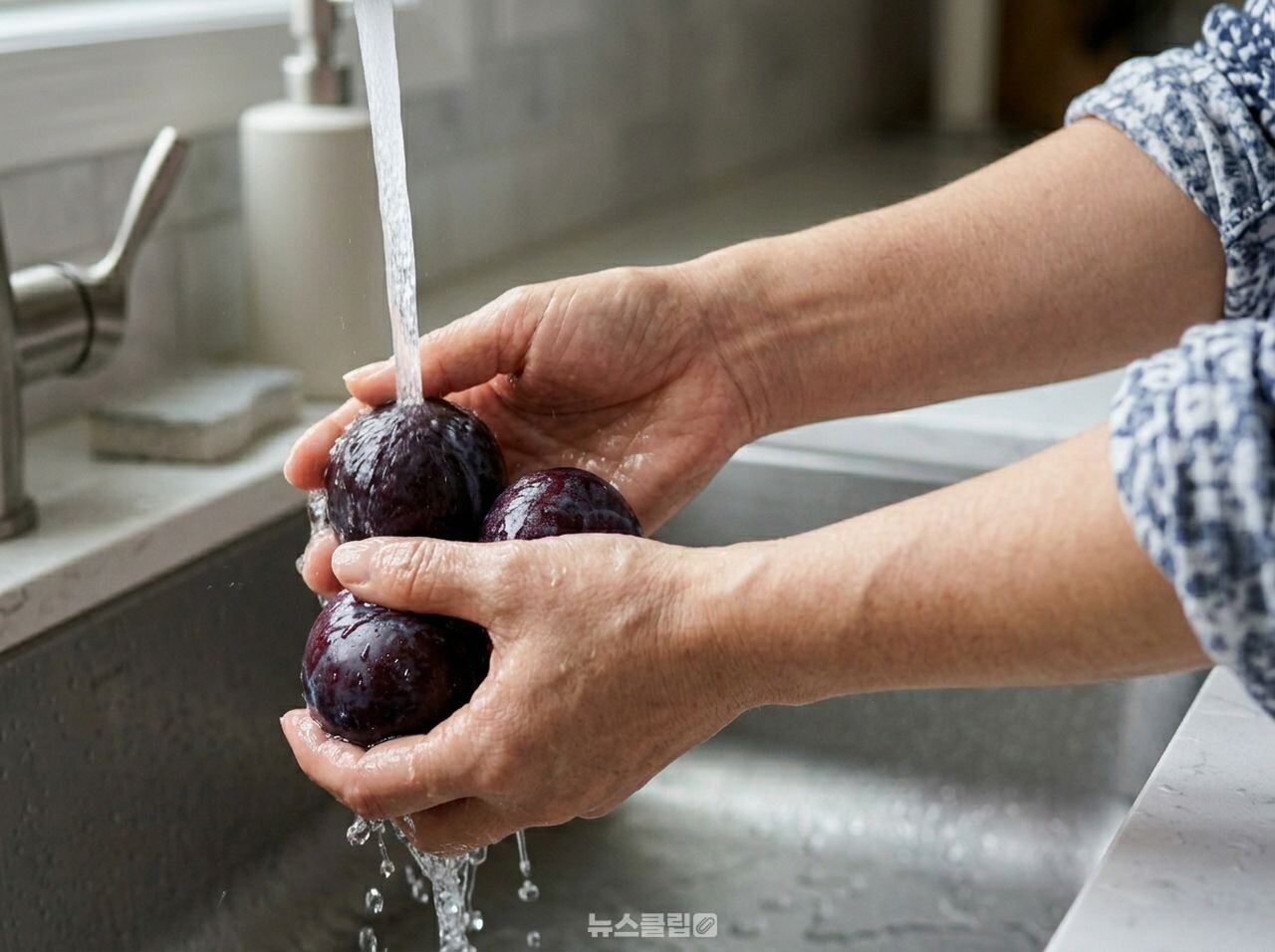 자두 하얀 가루 / 사진=뉴스클립