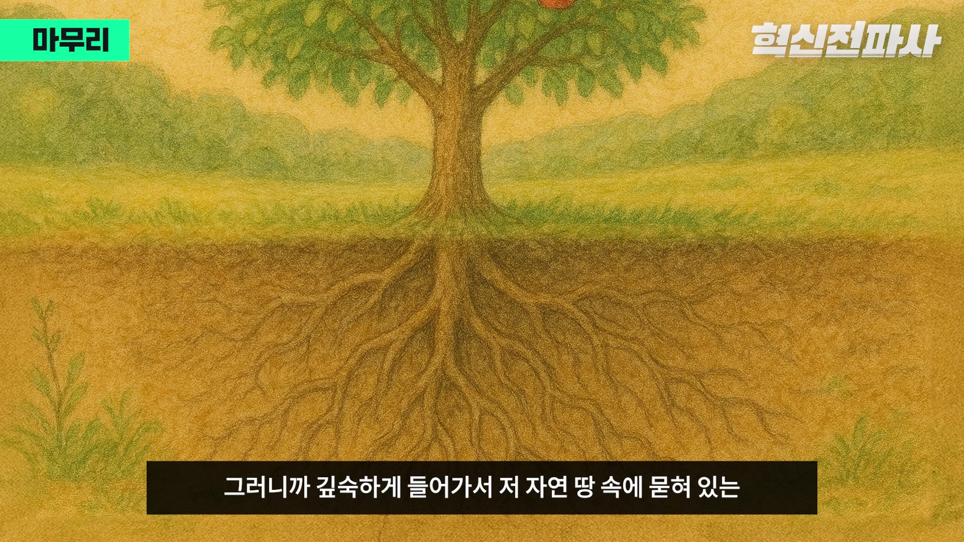 [출처] 혁신전파사 제공 영상 · 10:45