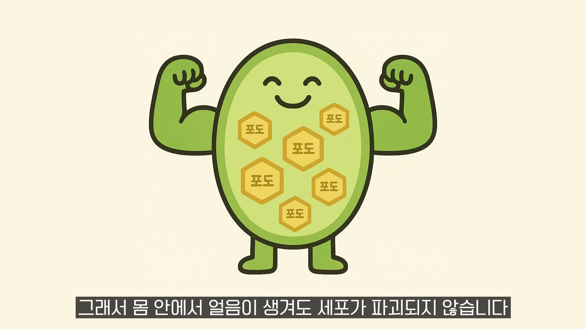 포도당으로 세포를 보호하는 강인한 세포를 표현한 귀여운 캐릭터 일러스트