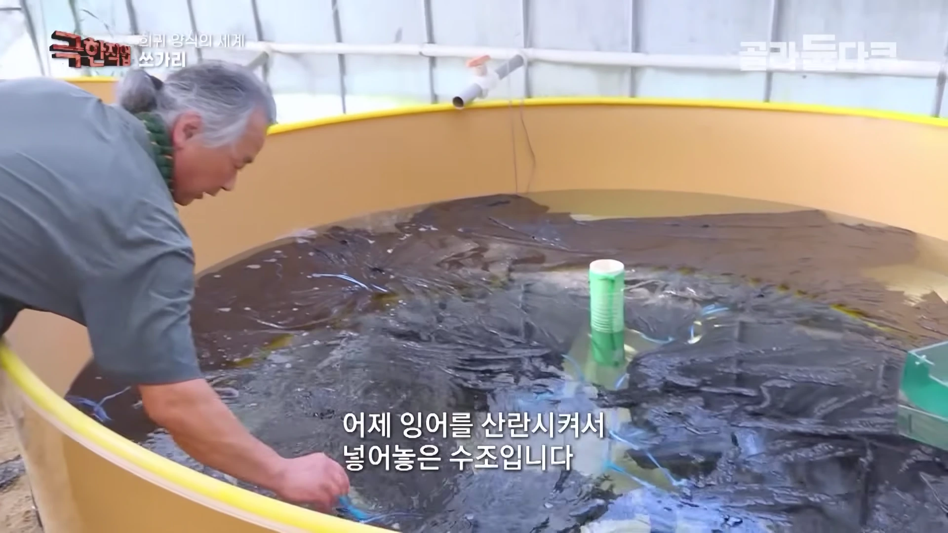 쏘가리의 먹이가 될 잉어의 산란을 유도하여 안정적인 먹이 공급 체계를 구축하고 있습니다.