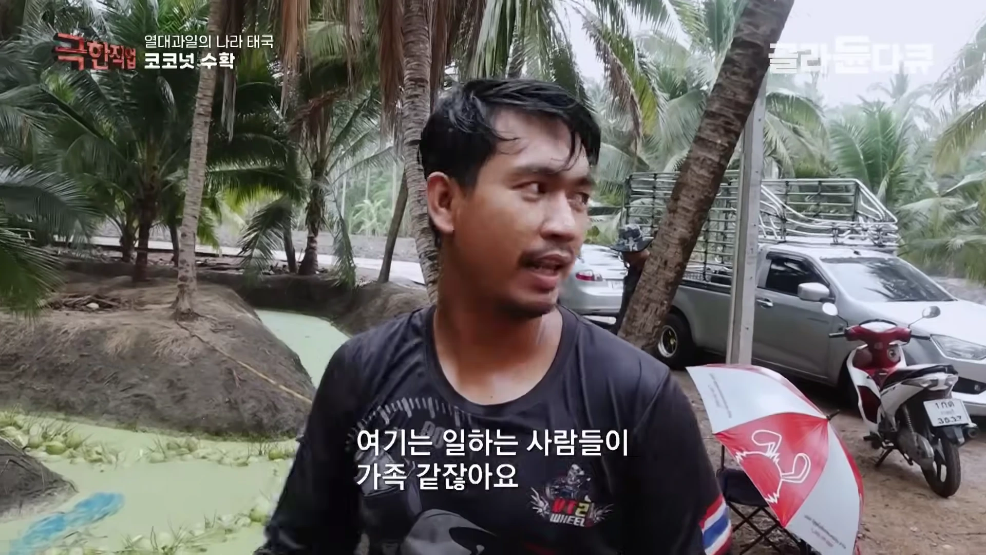 야자수 농장에서 검은색 티셔츠를 입은 남성이 인터뷰하고 있으며, 뒤편으로 수로와 차량이 보인다.