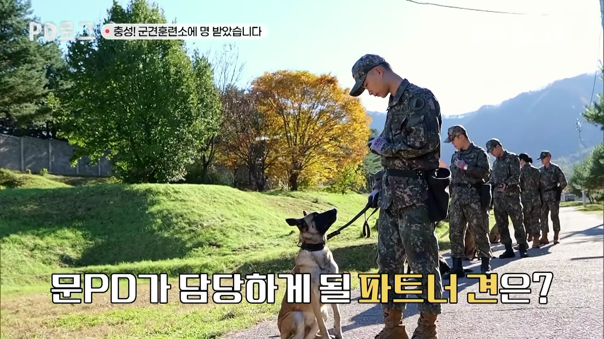 군복을 입은 군견병이 훈련소 야외에서 군견과 함께 서 있는 모습