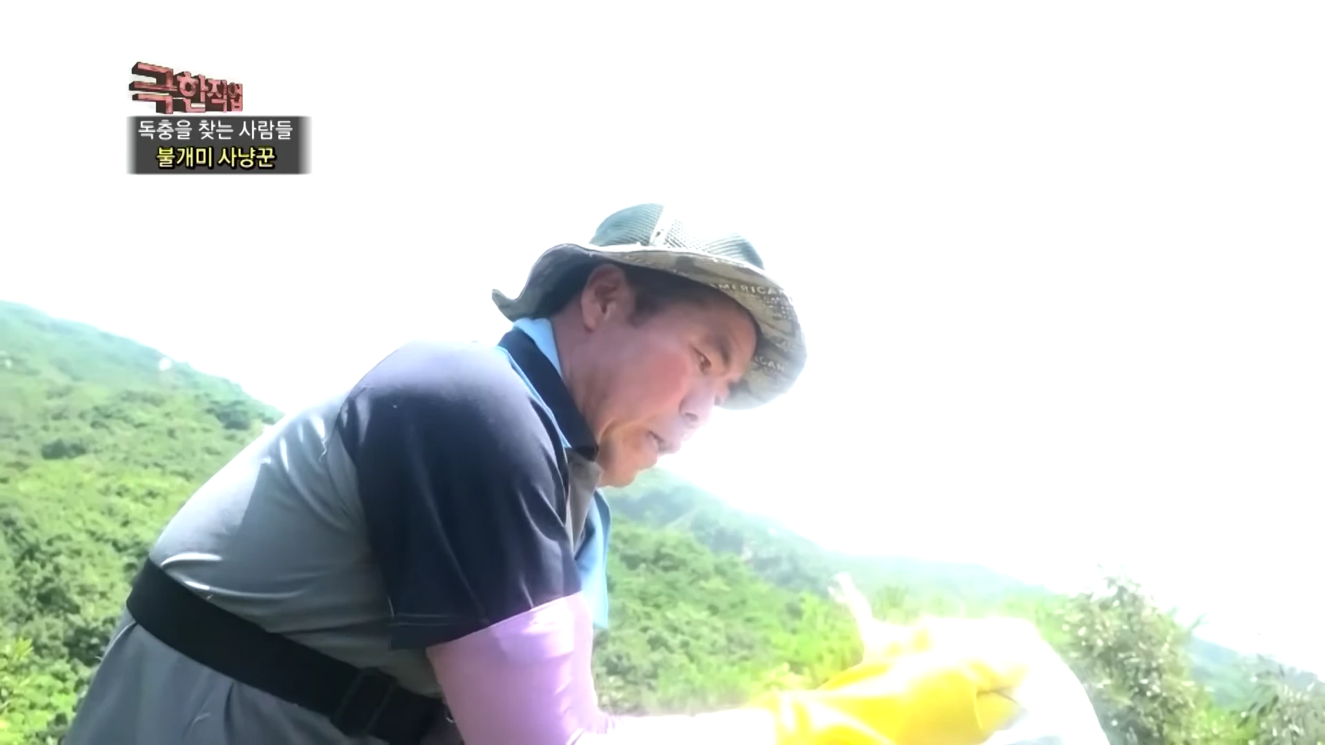 산속에서 모자와 작업복을 착용한 남성이 노란 고무장갑을 끼고 불개미를 채취하고 있다.