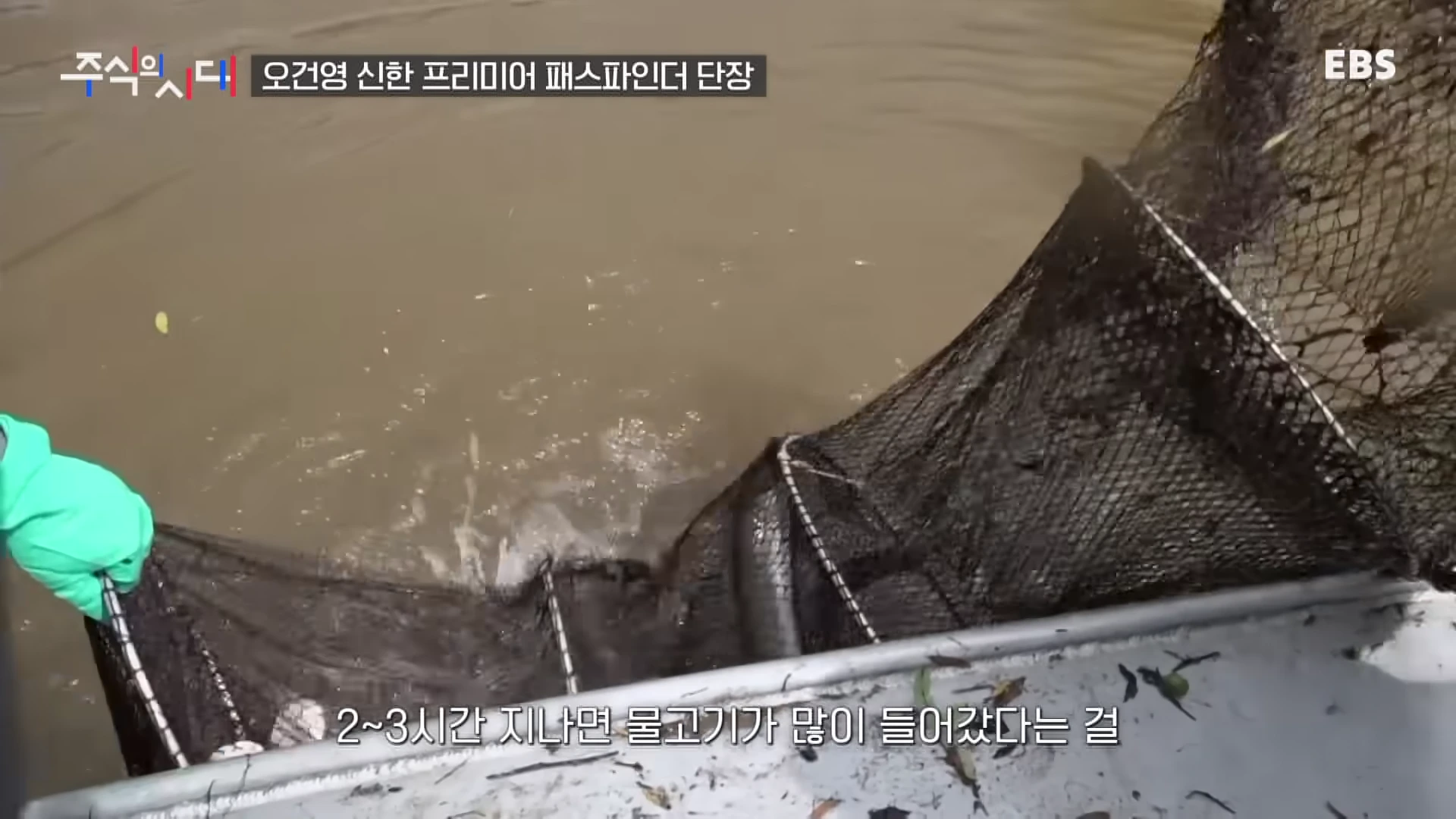 물속에 담긴 통발을 손으로 들어 올리는 모습이 담긴 영상 화면