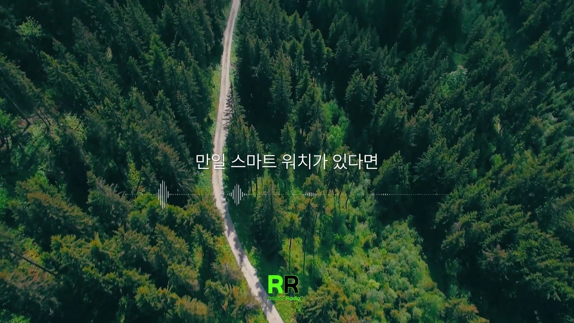 울창한 숲속으로 길게 뻗은 산책로를 위에서 내려다본 영상 화면