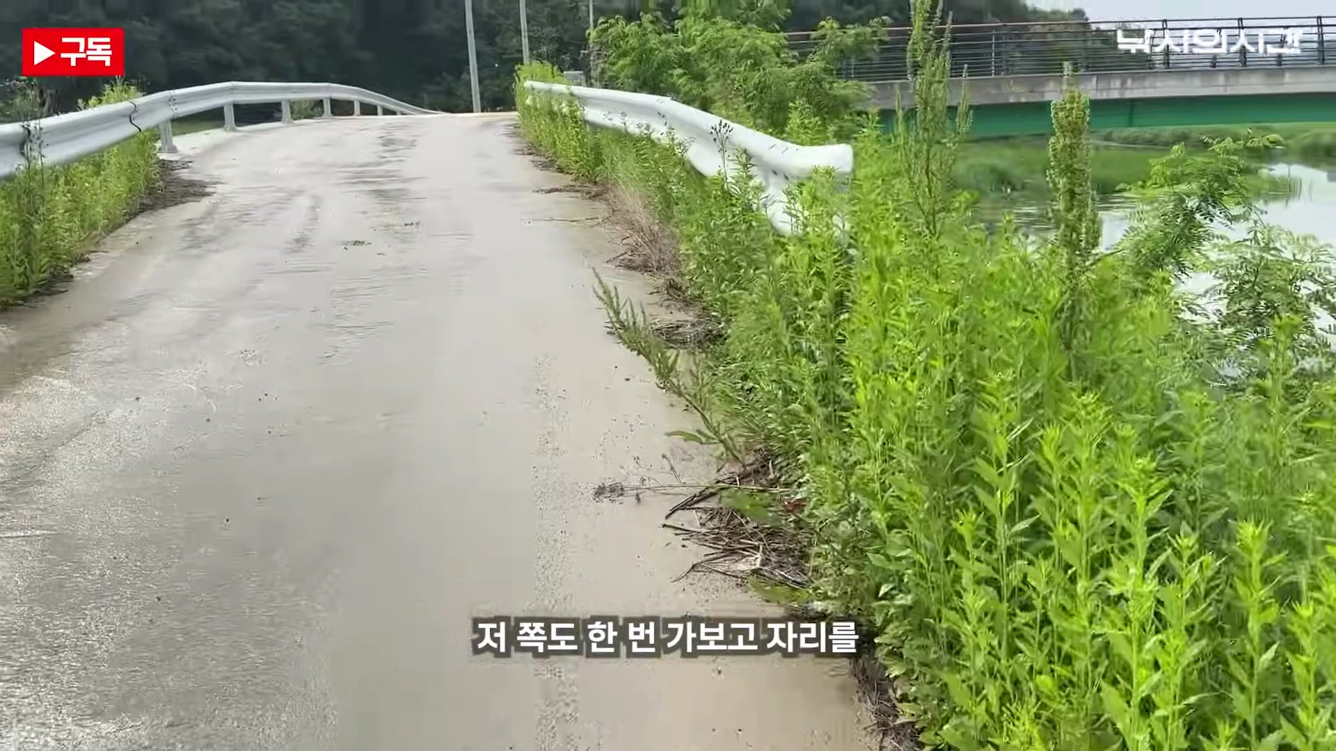 복하천 마둘교 인근의 좁은 도로와 무성하게 자란 풀, 옆으로 흐르는 하천의 모습