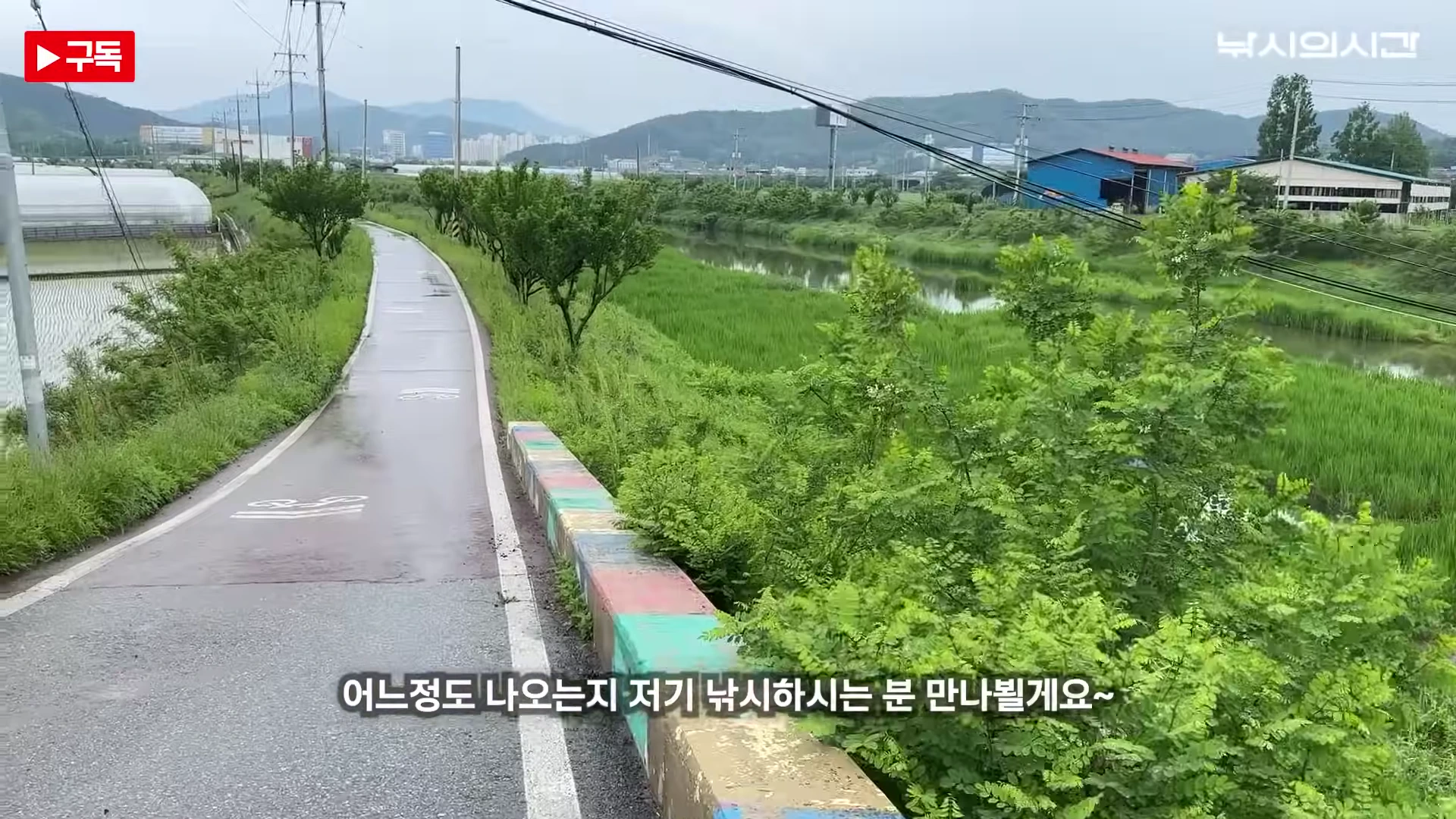 비에 젖은 자전거 도로와 옆으로 흐르는 복하천의 푸른 풍경