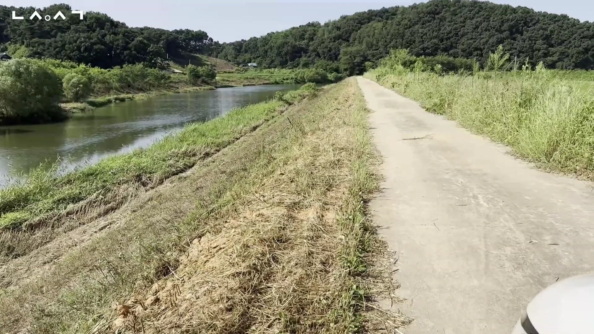 안성 한천의 좁은 1차선 도로와 옆으로 흐르는 강물, 주변의 푸른 풀과 나무가 보이는 풍경