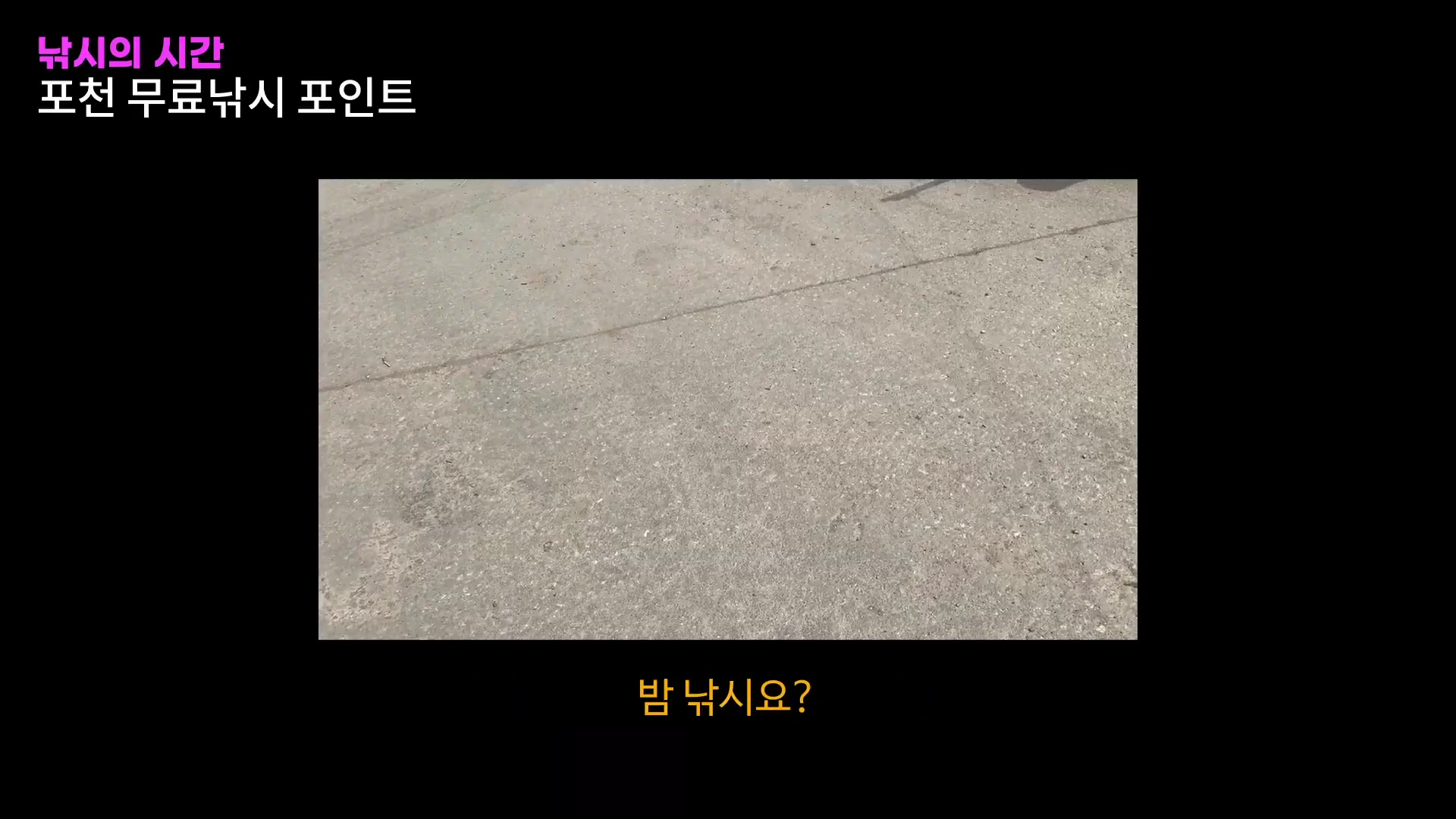 포천 무료 낚시 포인트라는 제목과 밤 낚시요?라는 자막이 적힌 영상 화면