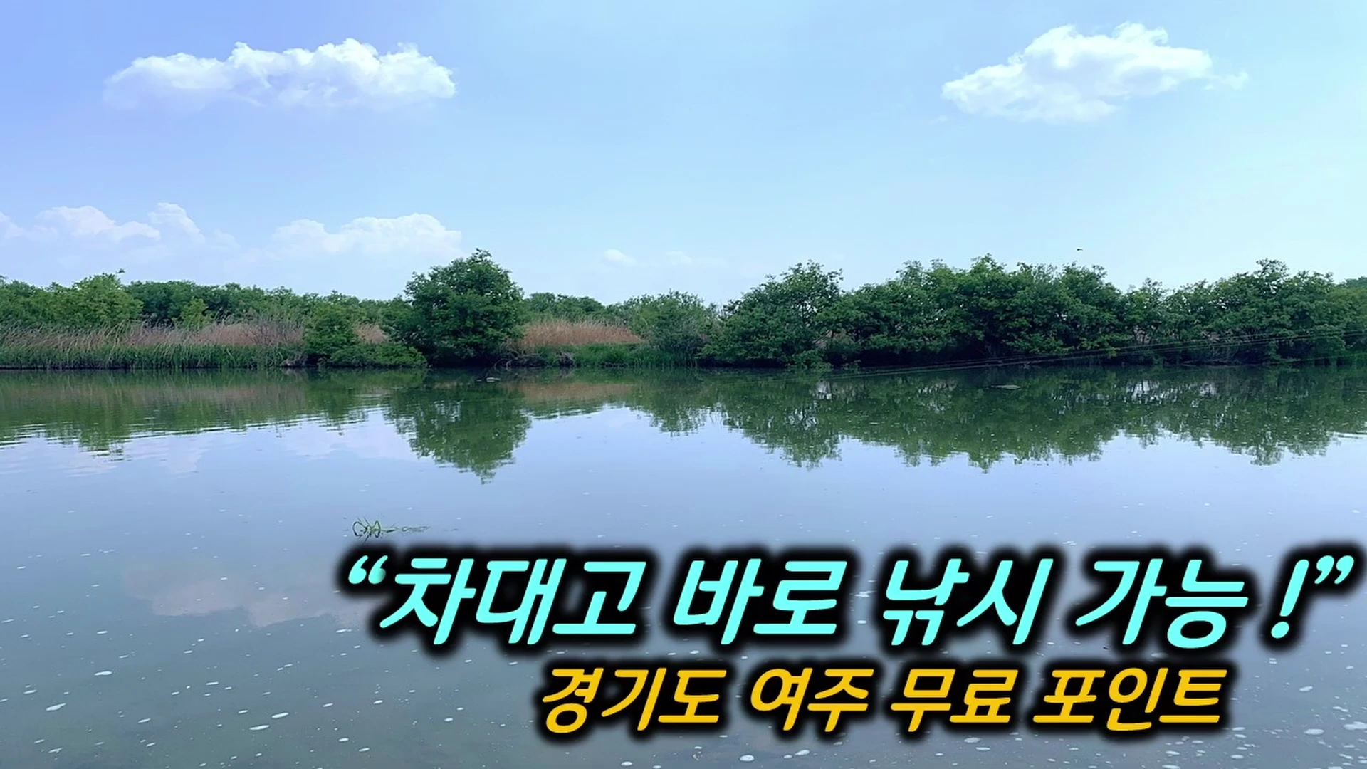 푸른 하늘 아래 잔잔한 강물과 우거진 나무들이 보이는 여주의 노지 낚시터 풍경