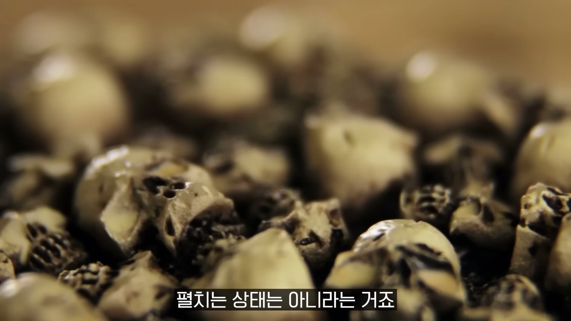 수많은 작은 해골 모형들이 빽빽하게 쌓여 있는 근접 촬영 화면