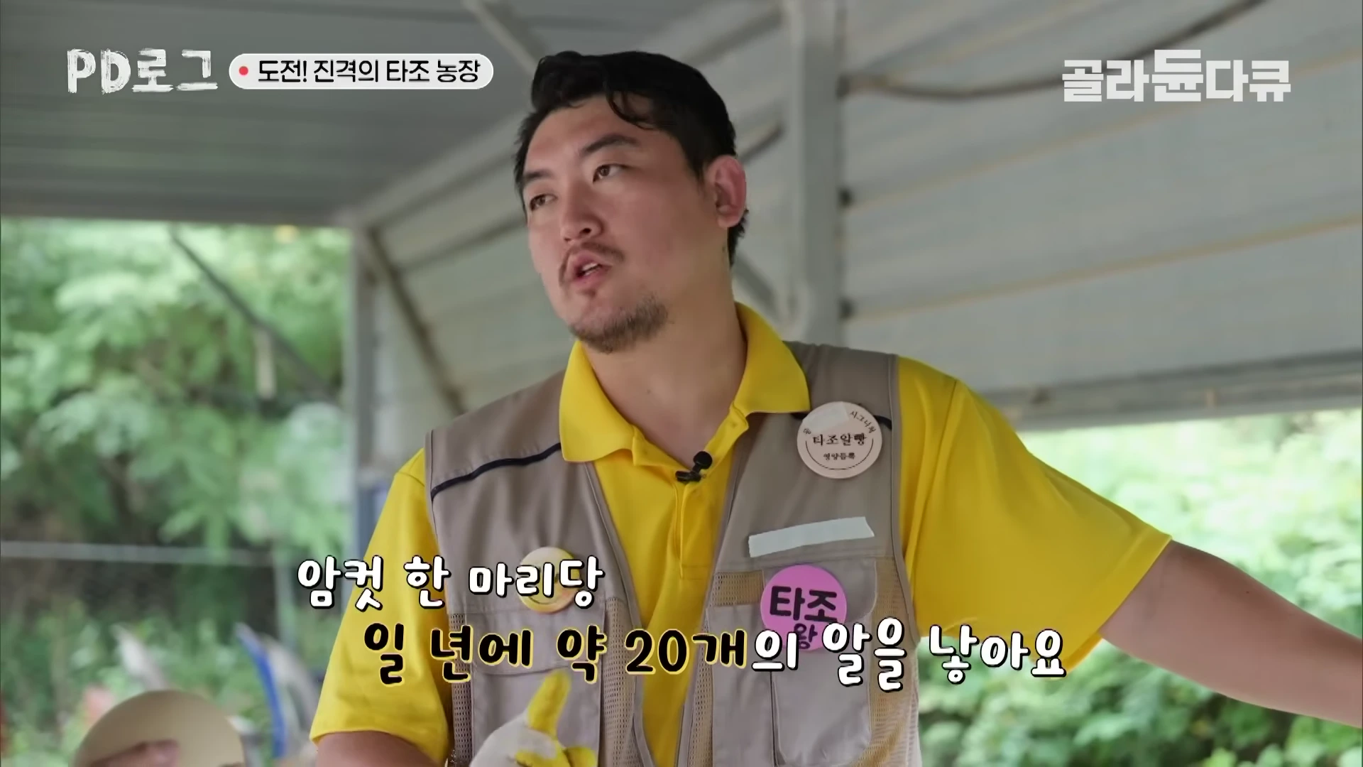 노란색 폴로 셔츠와 베이지색 조끼를 입은 남성이 타조 농장에서 인터뷰하고 있는 모습
