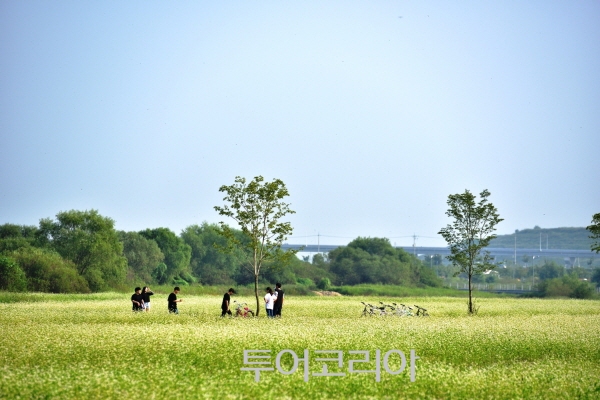 여주 당남리섬  / 사진-여주시