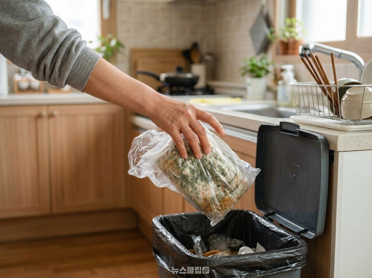 곰팡이 핀 빵 / 사진=뉴스클립