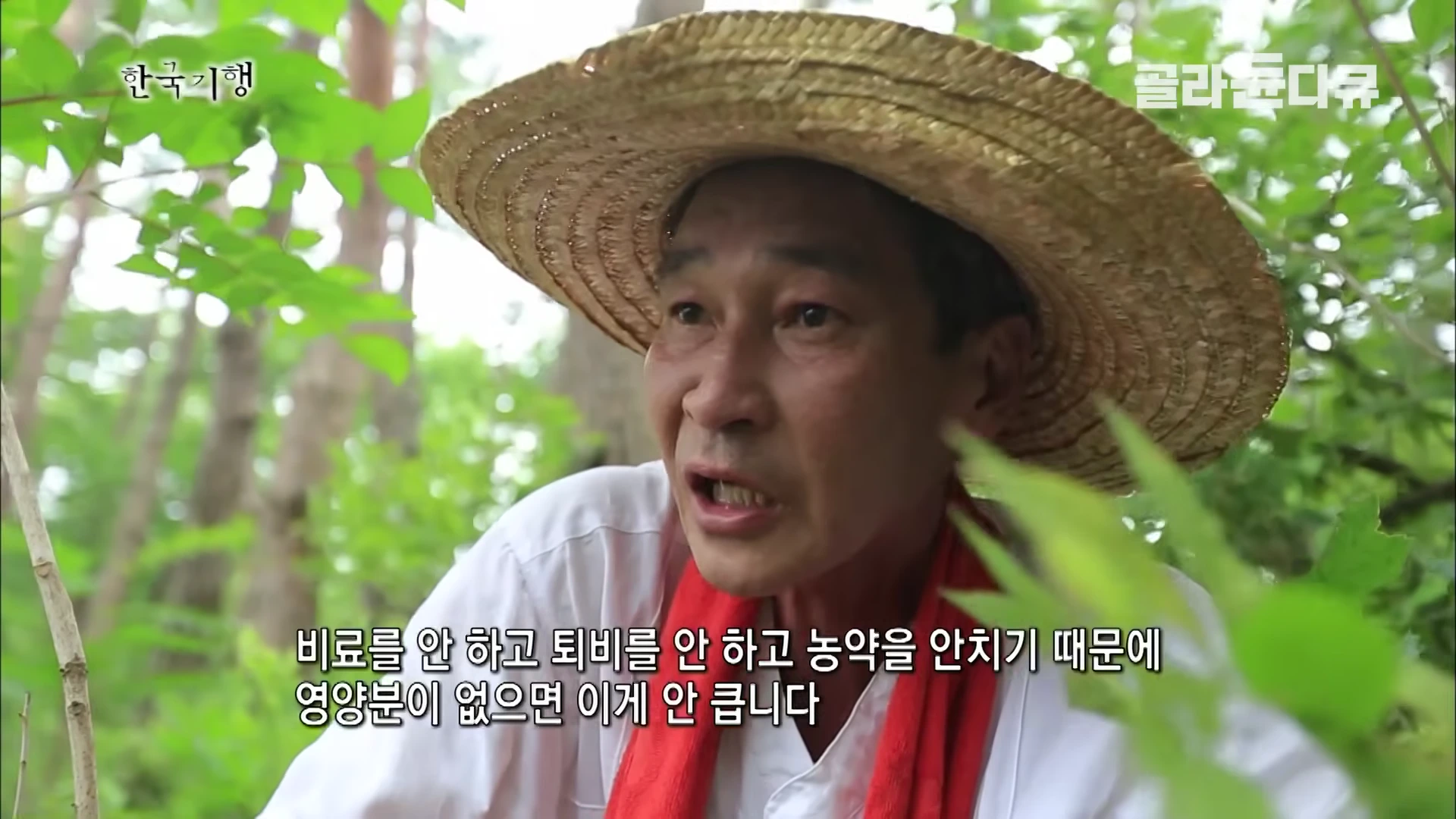 밀짚모자를 쓴 중년 남성이 숲속에서 인터뷰하는 모습