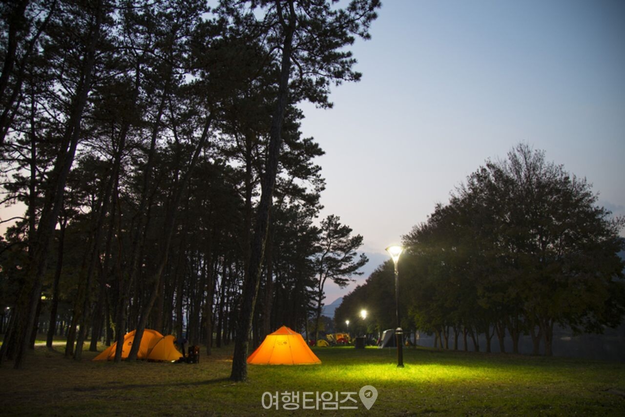송호국민관광지 / 사진=게티이미지뱅크