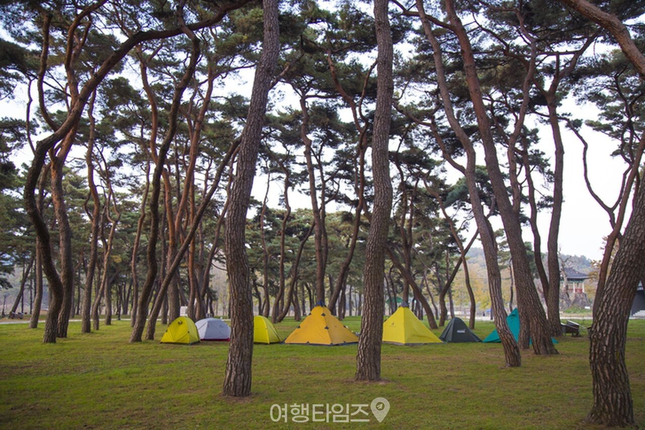 송호국민관광지 / 사진=게티이미지뱅크