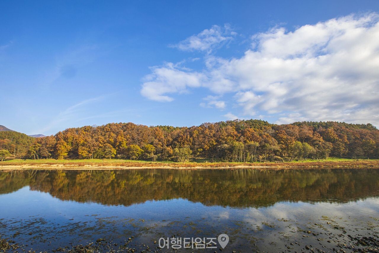 송호국민관광지 / 사진=게티이미지뱅크