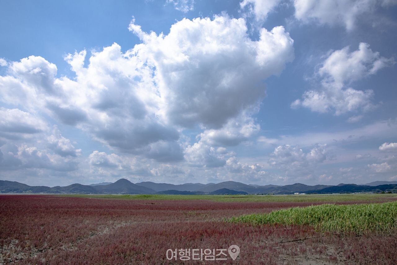 와온해변 / 사진=게티이미지뱅크