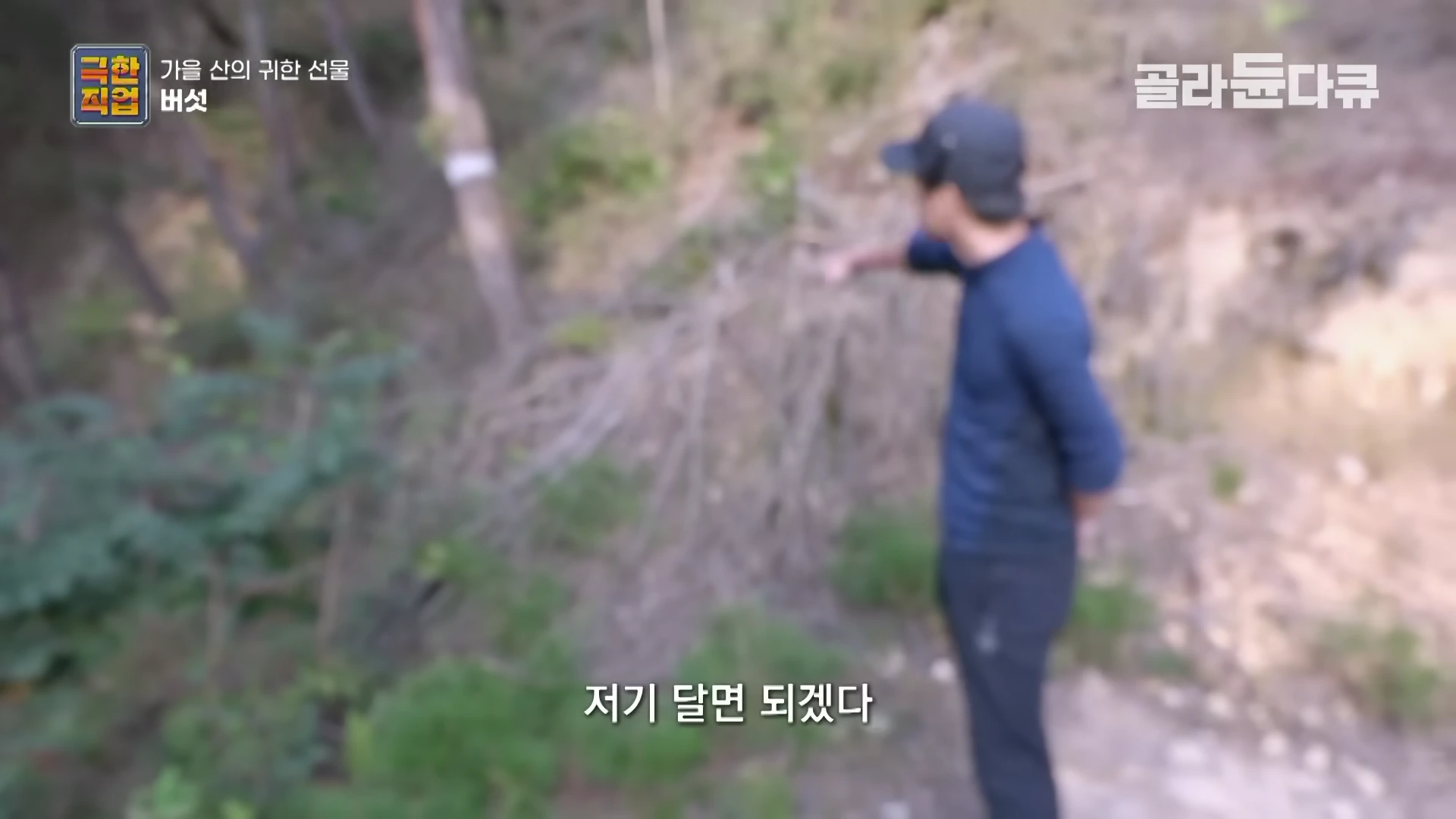 숲속에서 한 남성이 손가락으로 나무 쪽을 가리키며 CCTV 설치 위치를 확인하고 있다.