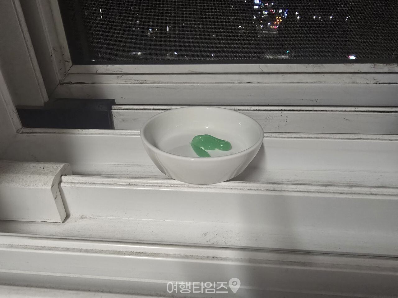 치약 모기 트랩 / 사진=여행타임즈