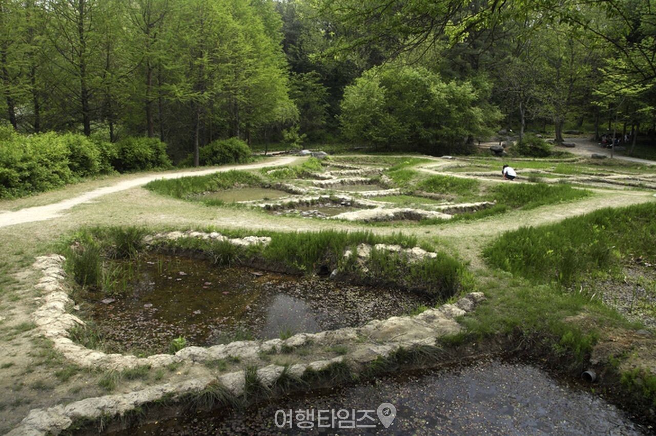 물향기수목원 / 사진=게티이미지뱅크