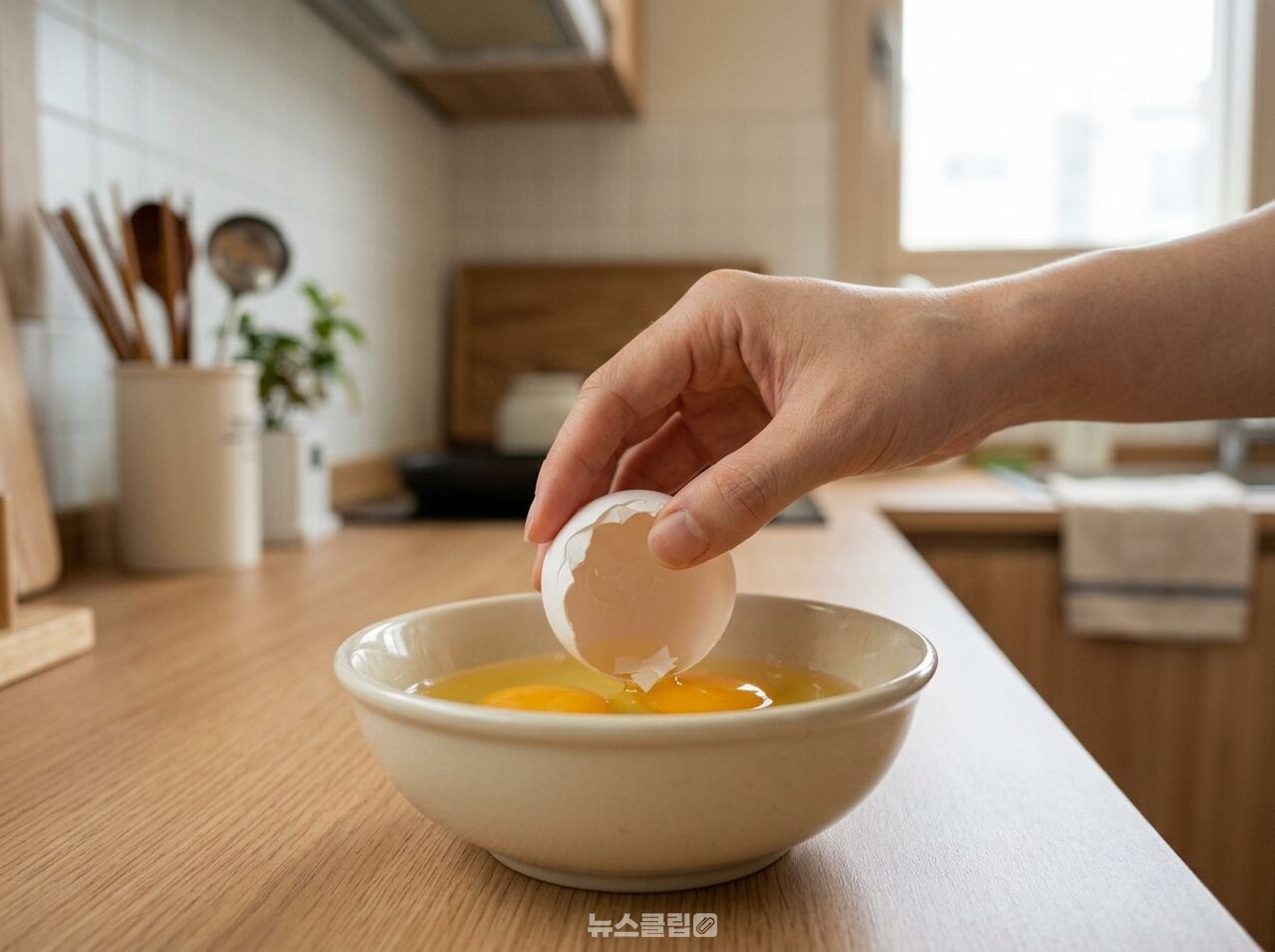 계란 껍질 / 사진=뉴스클립