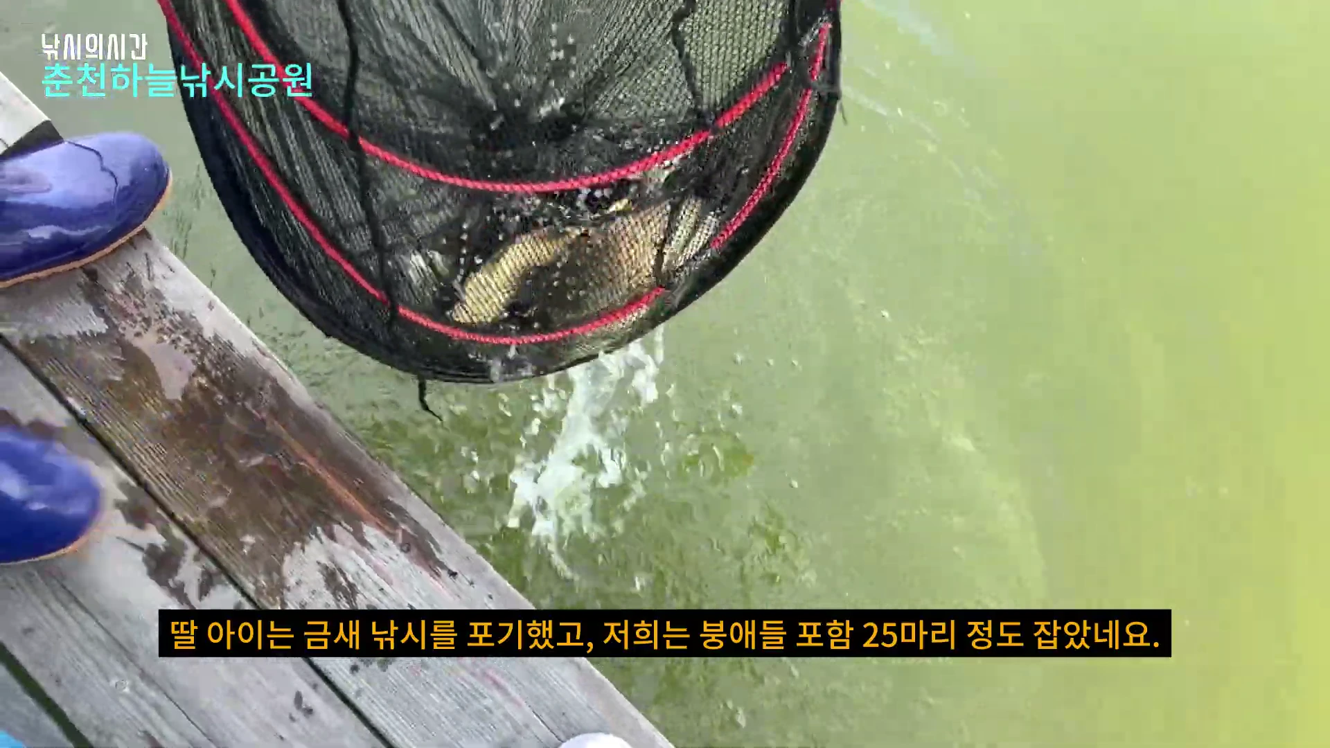 낚시터 데크 위에서 뜰채로 붕어를 건져 올리는 모습