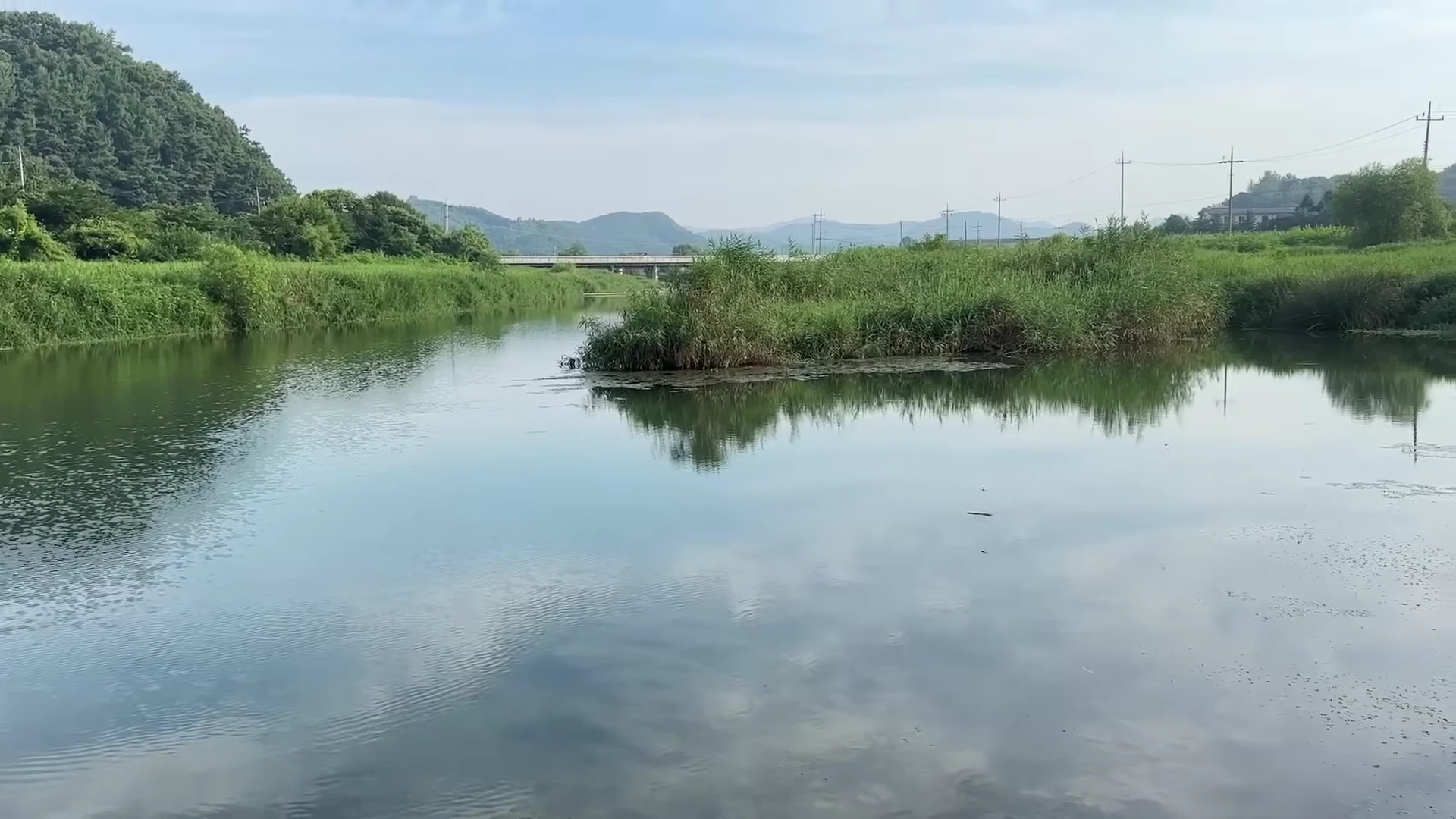 차탄천의 잔잔한 강물과 푸른 수풀이 우거진 강변 풍경