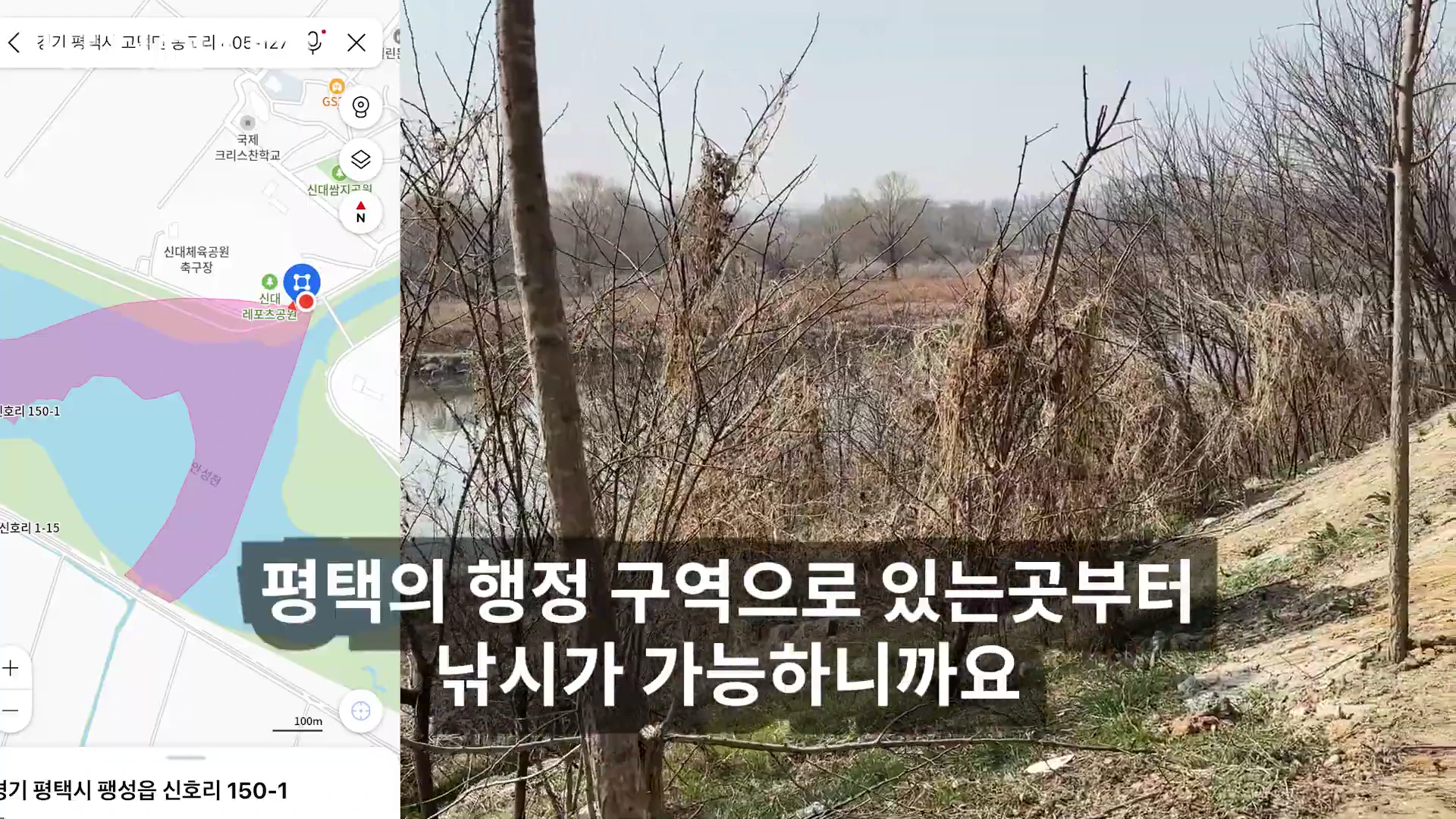 지도 앱 화면과 하천변 풍경이 분할된 화면으로, 평택시 신호리 일대의 낚시 가능 구역을 안내하는 자막이 표시되어 있습니다.