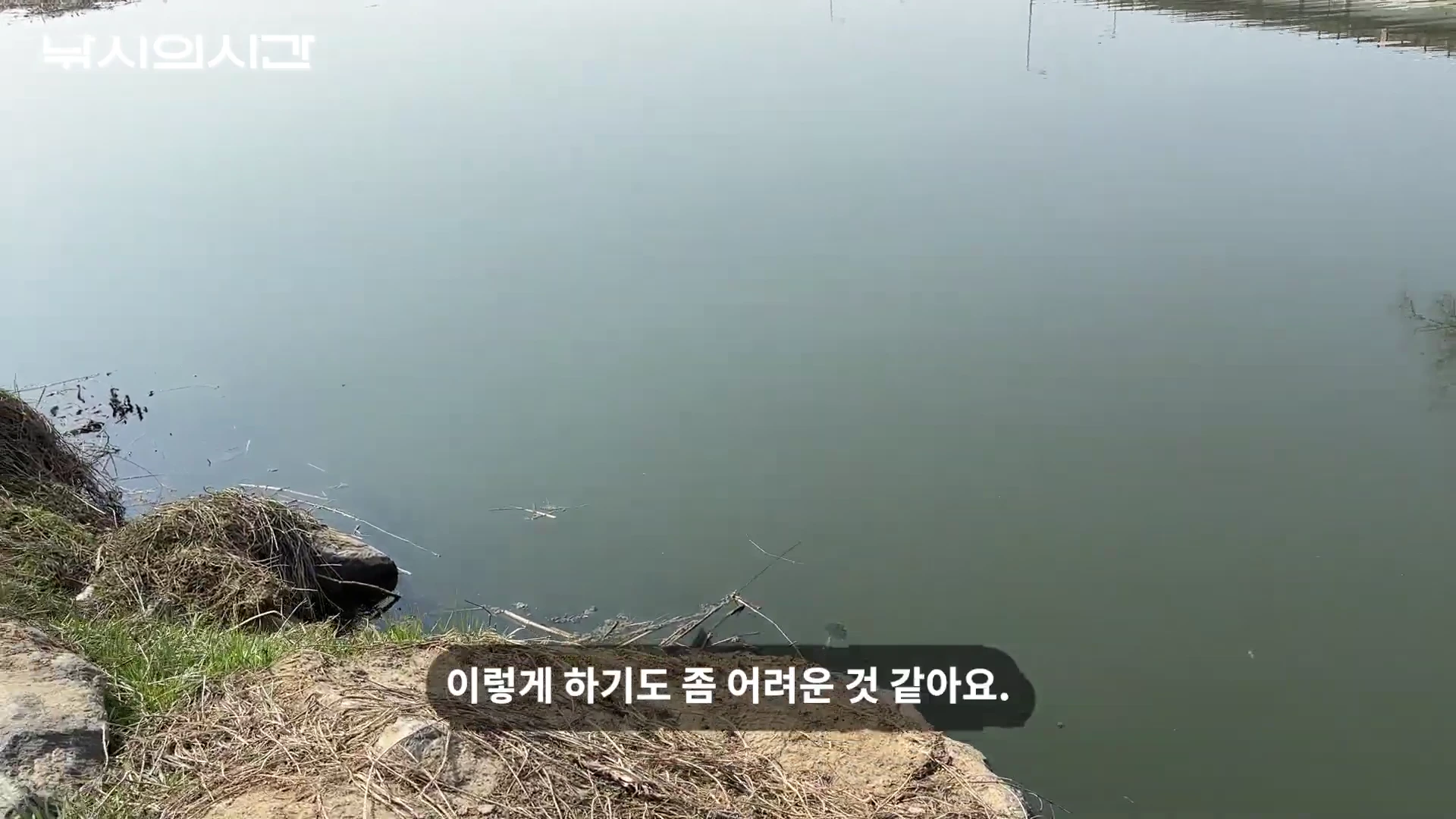 진위천의 잔잔한 강물과 돌이 깔린 연안 풍경